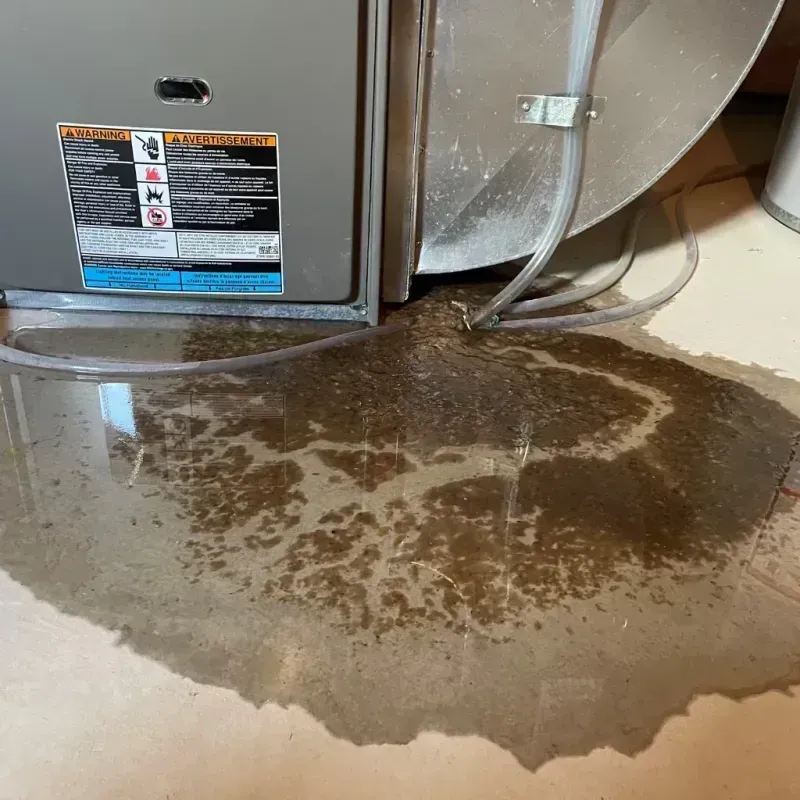 Appliance Leak Cleanup in Mangonia Park, FL